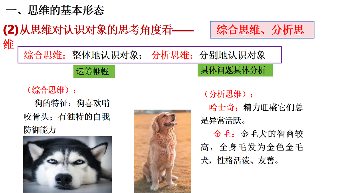 18145373第3页