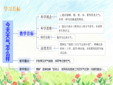 苏教版（2024）科学二年级下册 1 今天天气怎么样  课件