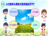 苏教版（2024）科学二年级下册 1 今天天气怎么样  课件