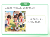 苏教版（2024）科学三年级上册 1.2《不同的土壤》课件