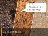 苏教版（2024）科学三年级上册 1.2《不同的土壤》课件
