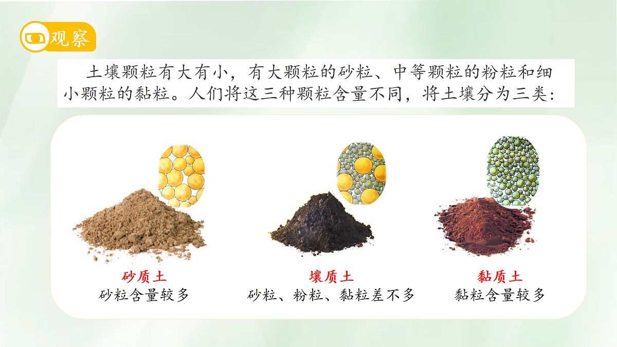 18145601第5页