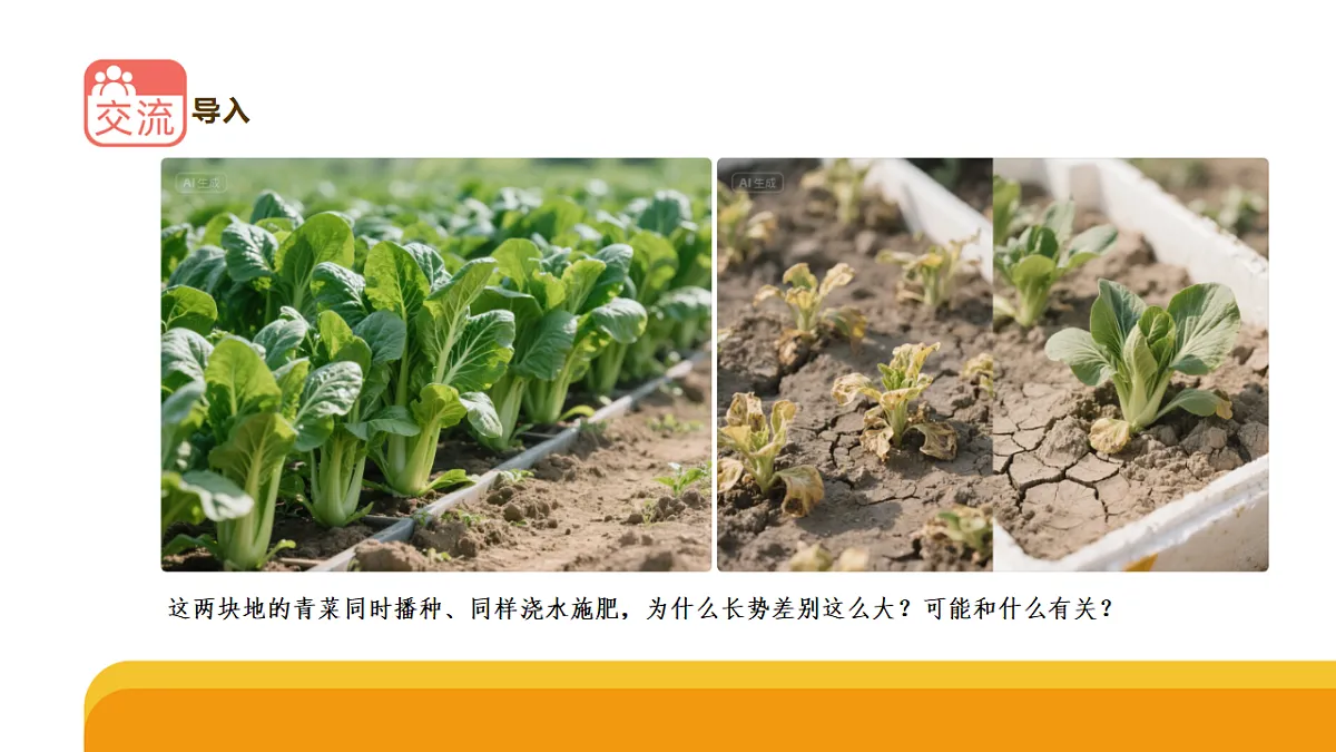 18145602第2页