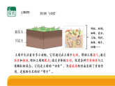 苏教版（2024）科学三年级上册 1.3《肥沃的土壤》课件
