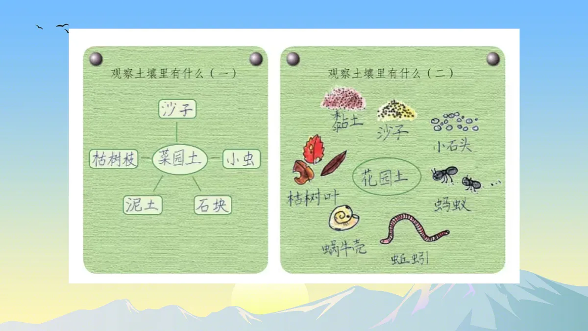 18145604第5页