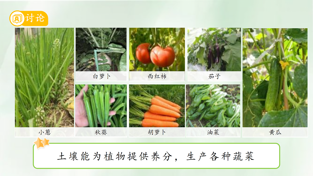 18145608第7页
