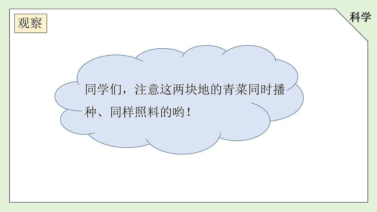 18145609第5页
