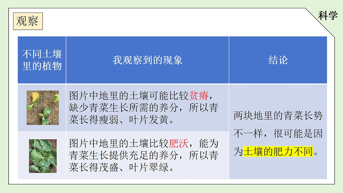 18145609第6页
