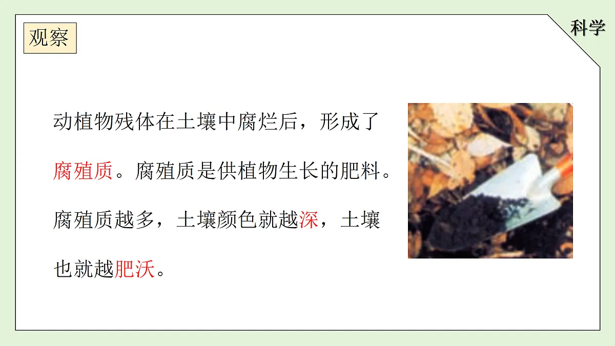 18145609第7页