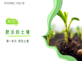 苏教版（2024）科学三年级上册 第3课肥沃的土壤课件