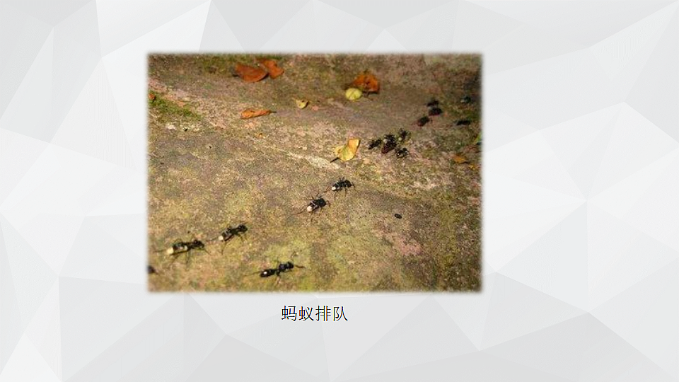 18145642第2页