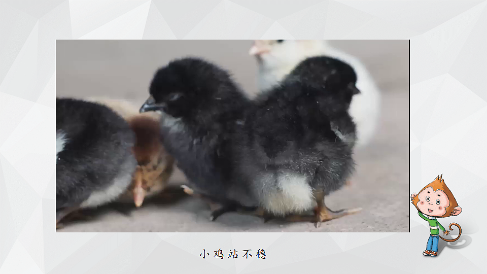 18145642第4页