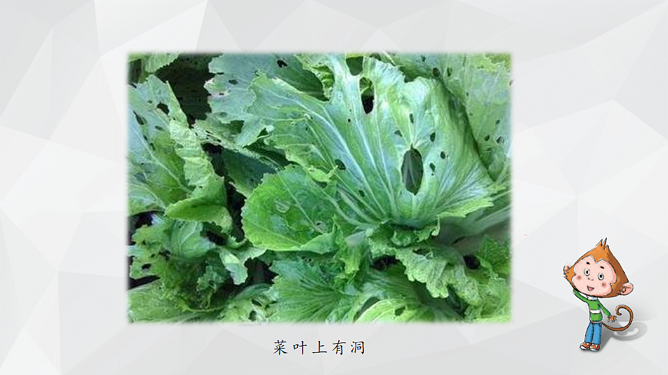 18145642第5页
