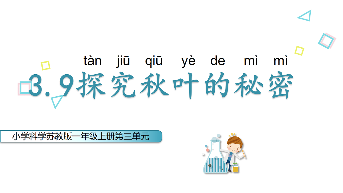 18145645第1页