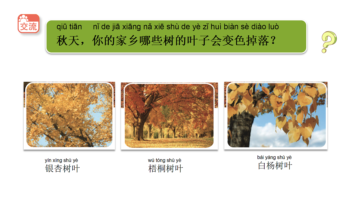 18145645第4页