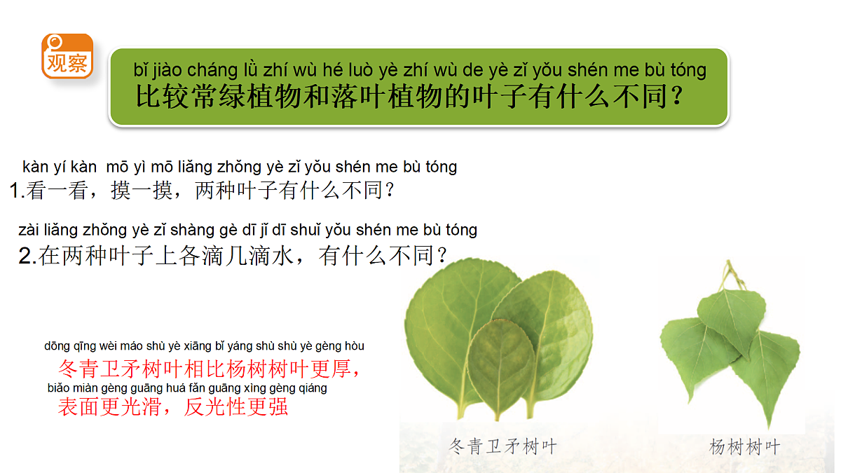 18145645第5页