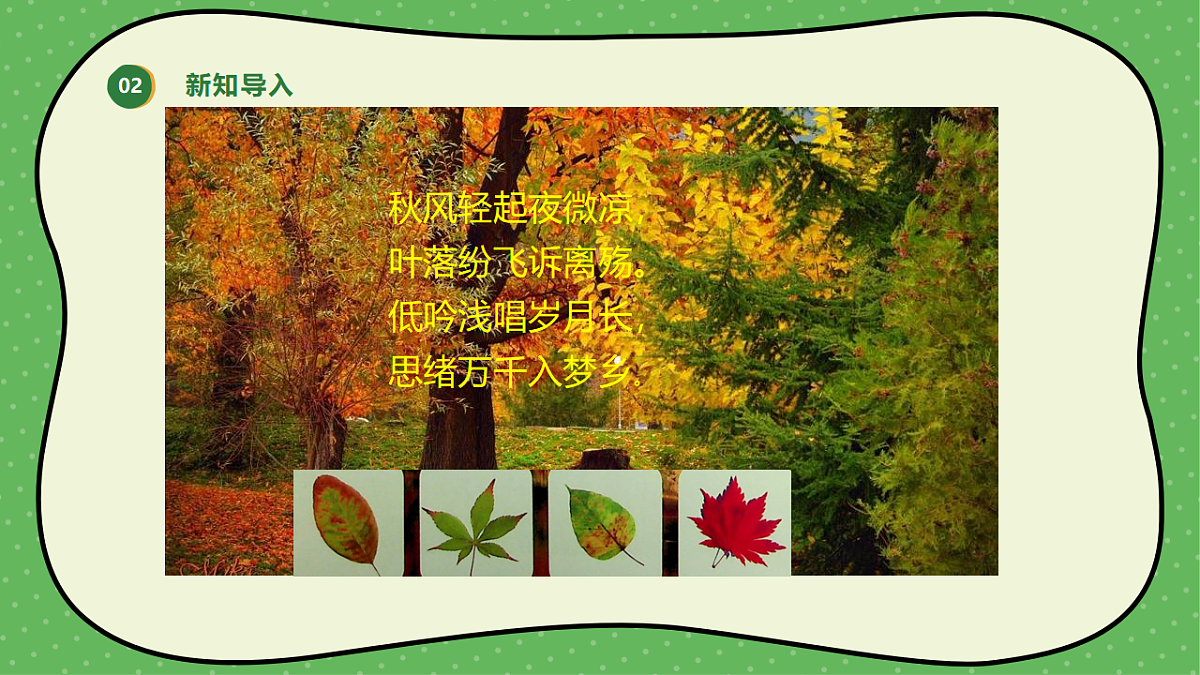 18145646第4页