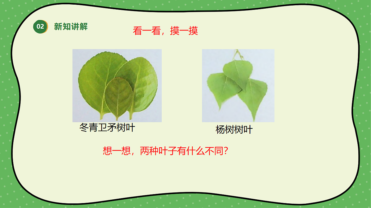 18145646第7页