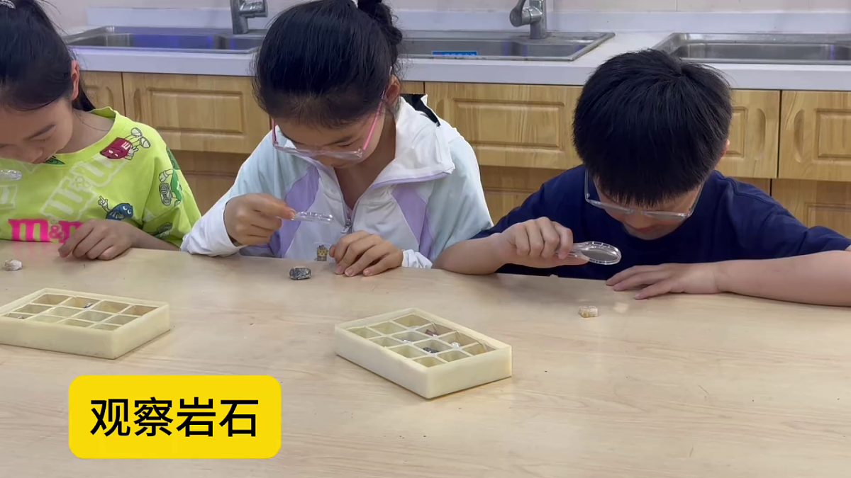 18145649第3页