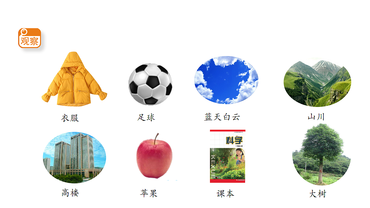 18145651第5页