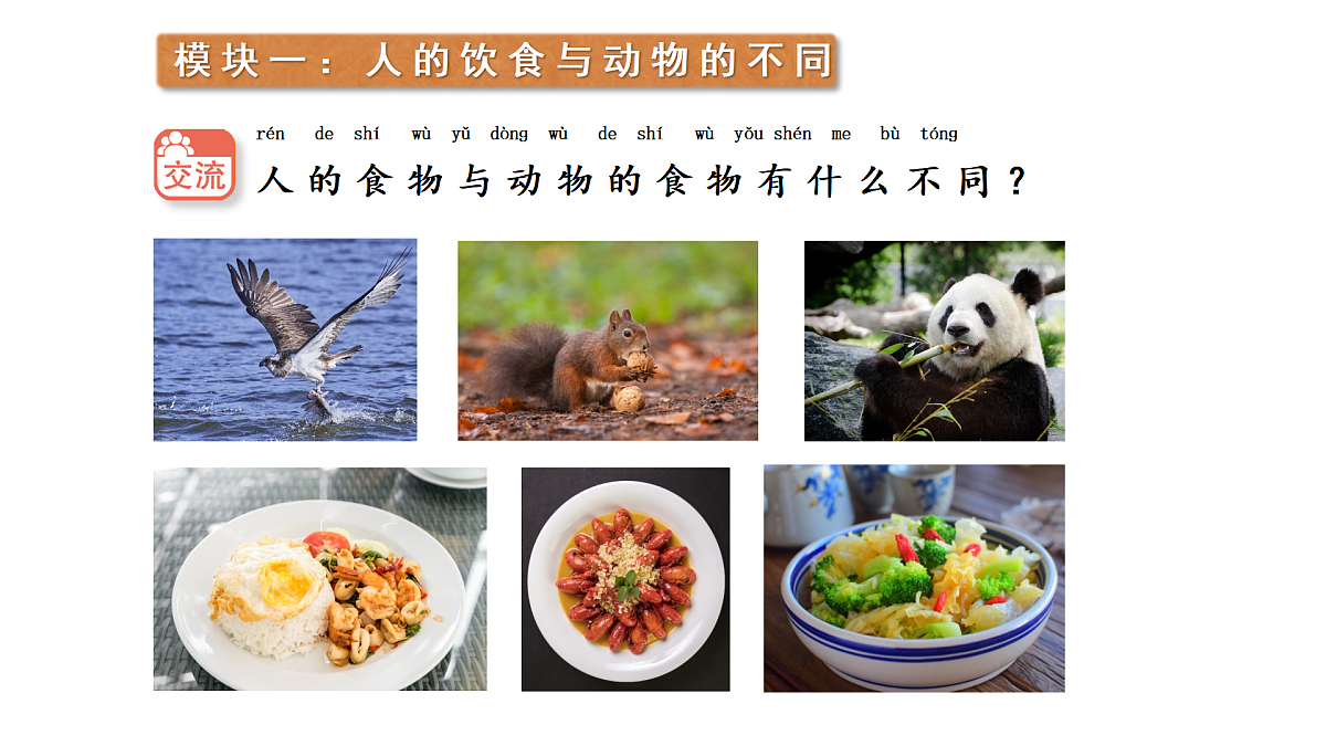 18145652第6页