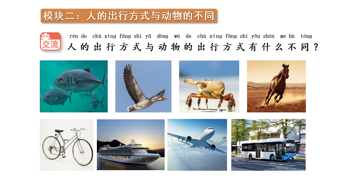 18145652第8页