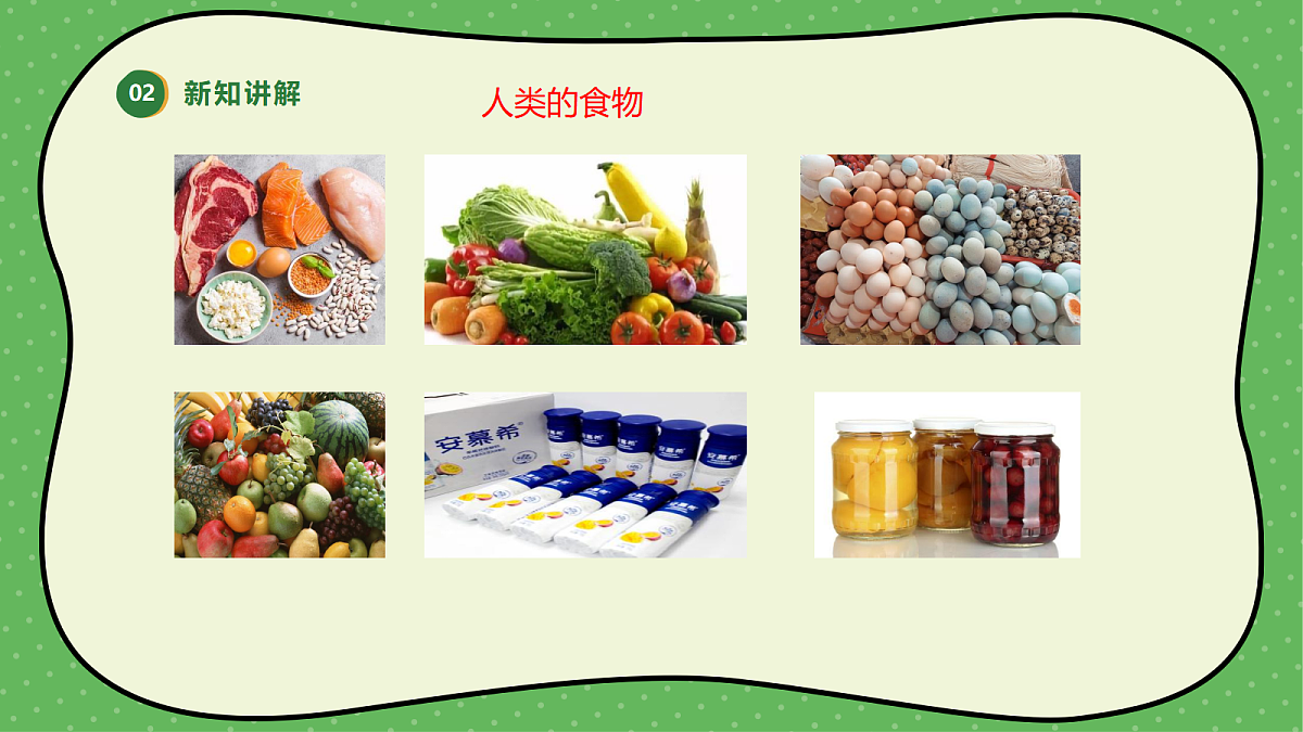 18145653第5页