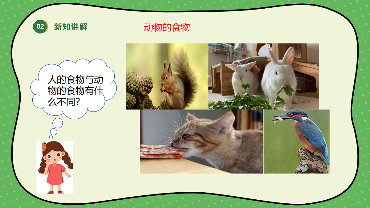 18145653第7页