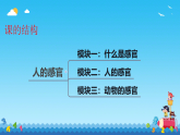 苏教版（2024）科学一年级上册 4.认识感官课件