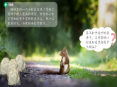 苏教版（2024）科学一年级上册 4认识感官课件