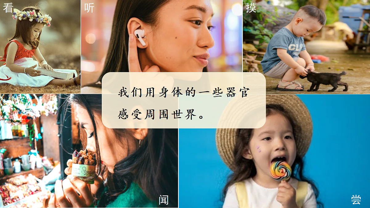 18145657第4页