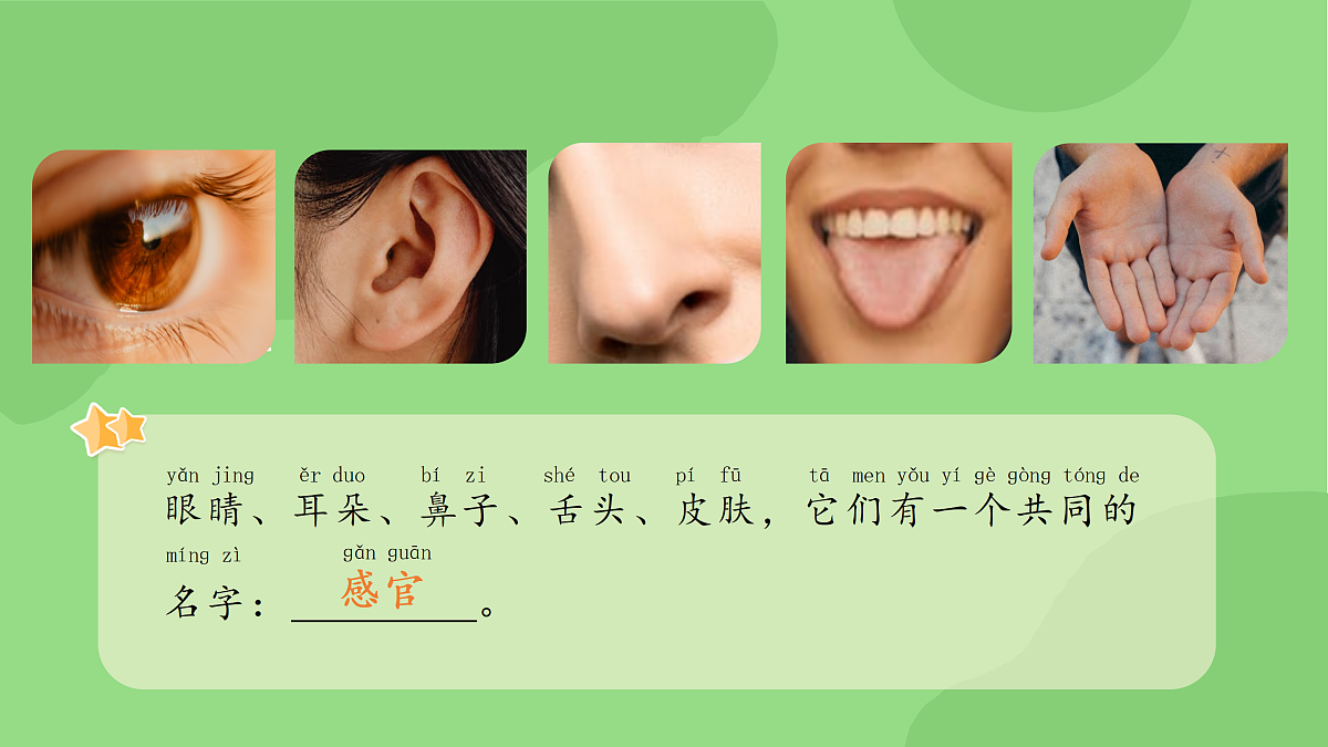 18145657第5页