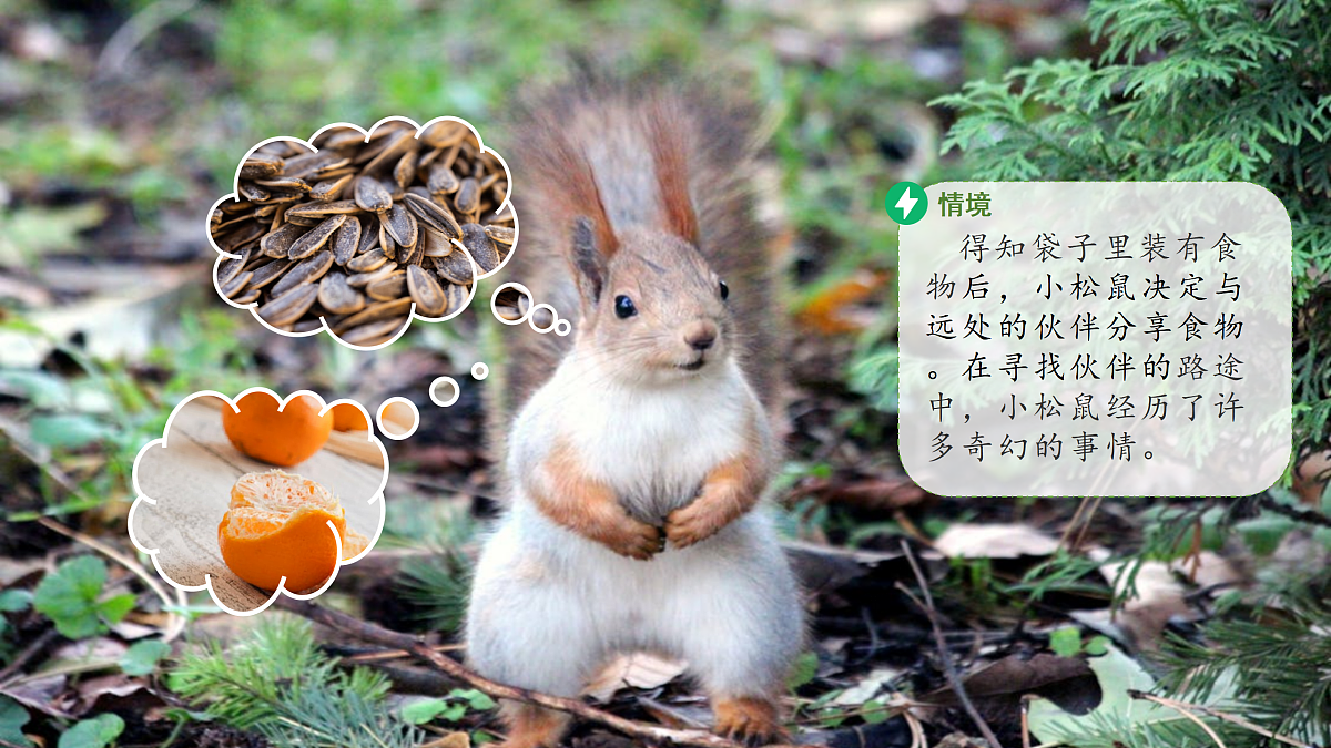 18145657第6页