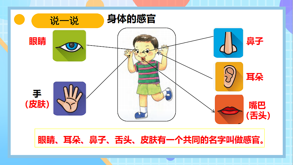 18145658第4页