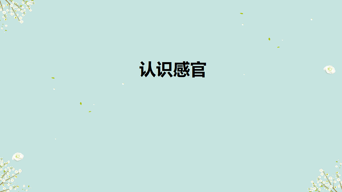 18145659第1页