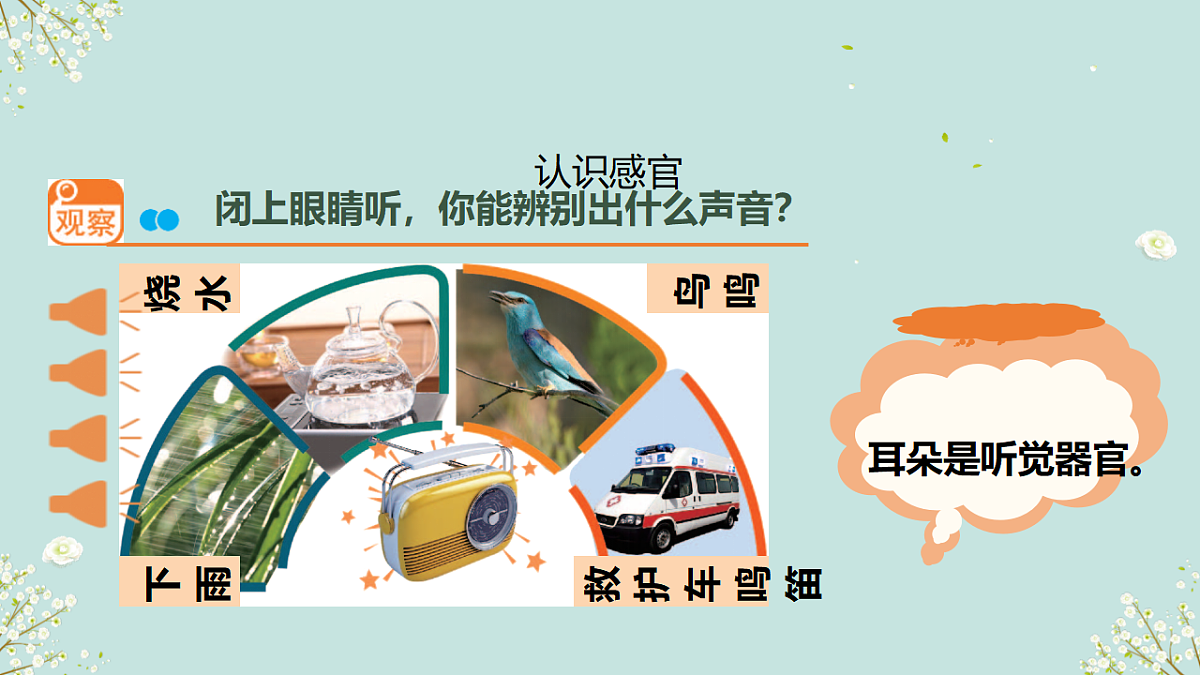 18145659第6页
