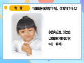 苏教版（2024）科学一年级上册 5《借助工具观察》课件-