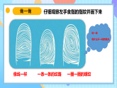 苏教版（2024）科学一年级上册 5《借助工具观察》课件-