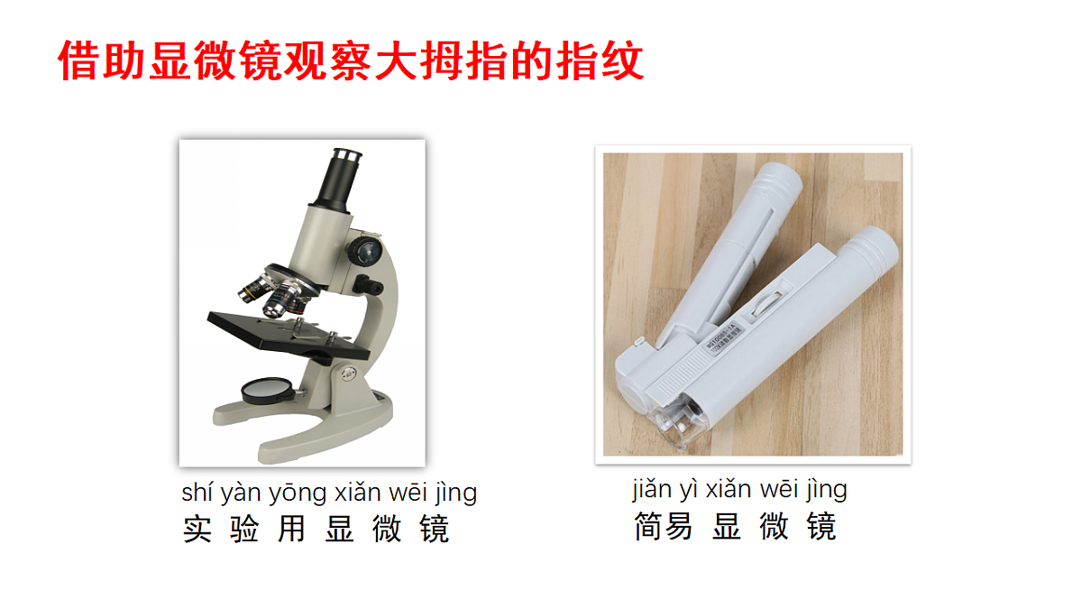 18145661第4页