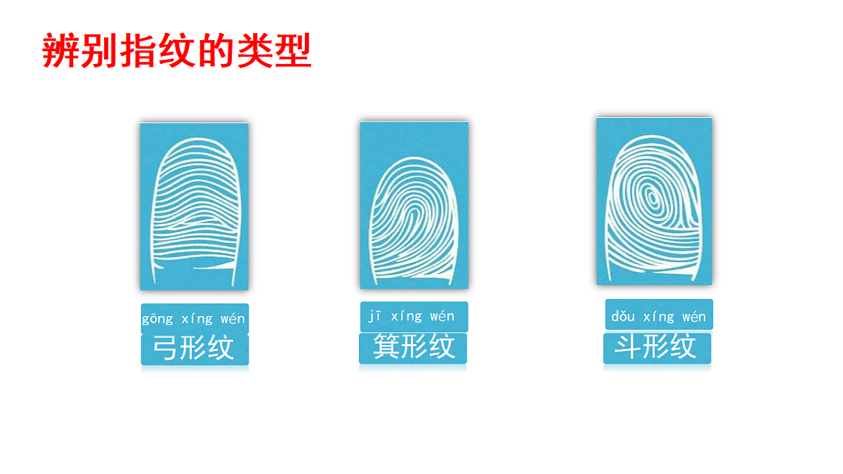 18145661第7页