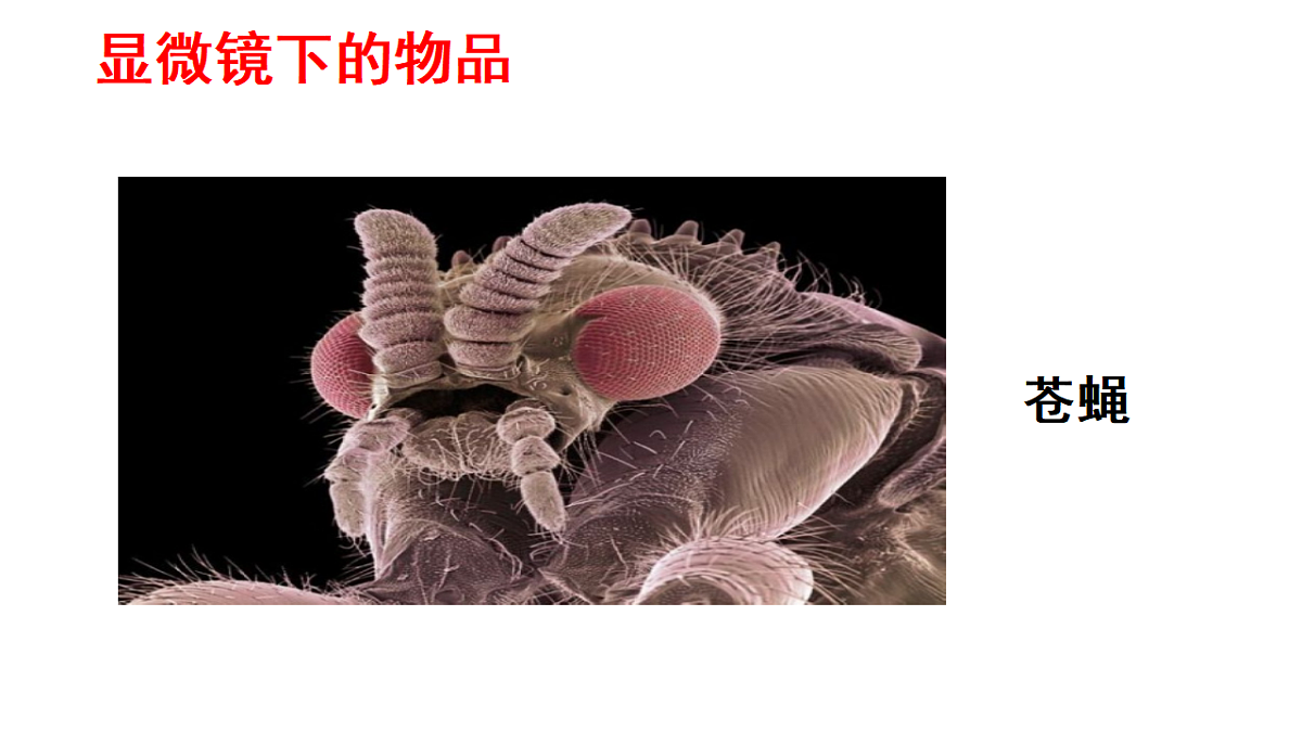 18145661第8页