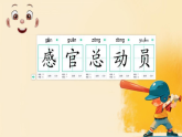 苏教版（2024）科学一年级上册 5感官总动员（课件）