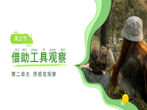 苏教版（2024）科学一年级上册 5借助工具观察课件 (2)