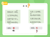 苏教版（2024）科学一年级上册 5借助工具观察课件 (2)