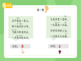 苏教版（2024）科学一年级上册 5借助工具观察课件 (2)