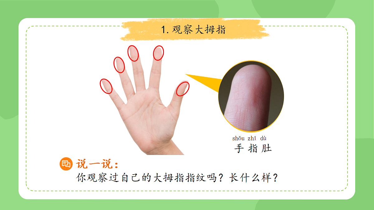 18145663第8页