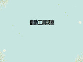 苏教版（2024）科学一年级上册 5借助工具观察课件