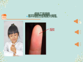 苏教版（2024）科学一年级上册 5借助工具观察课件