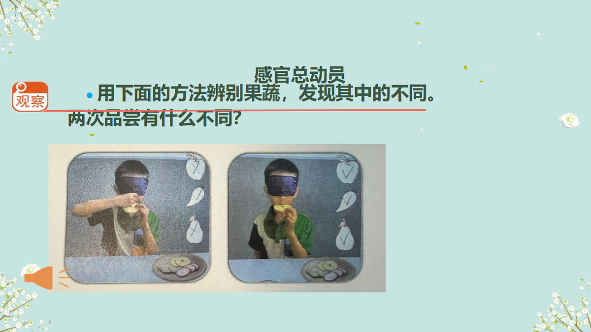 18145666第6页