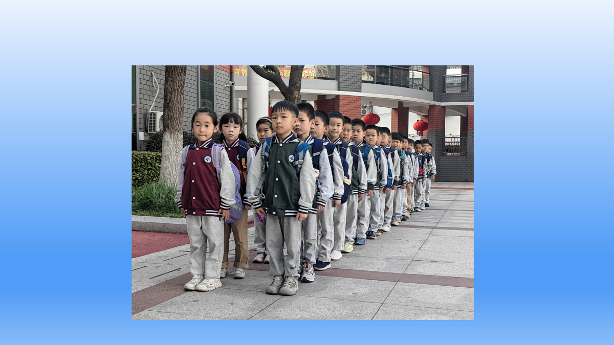 18145667第2页